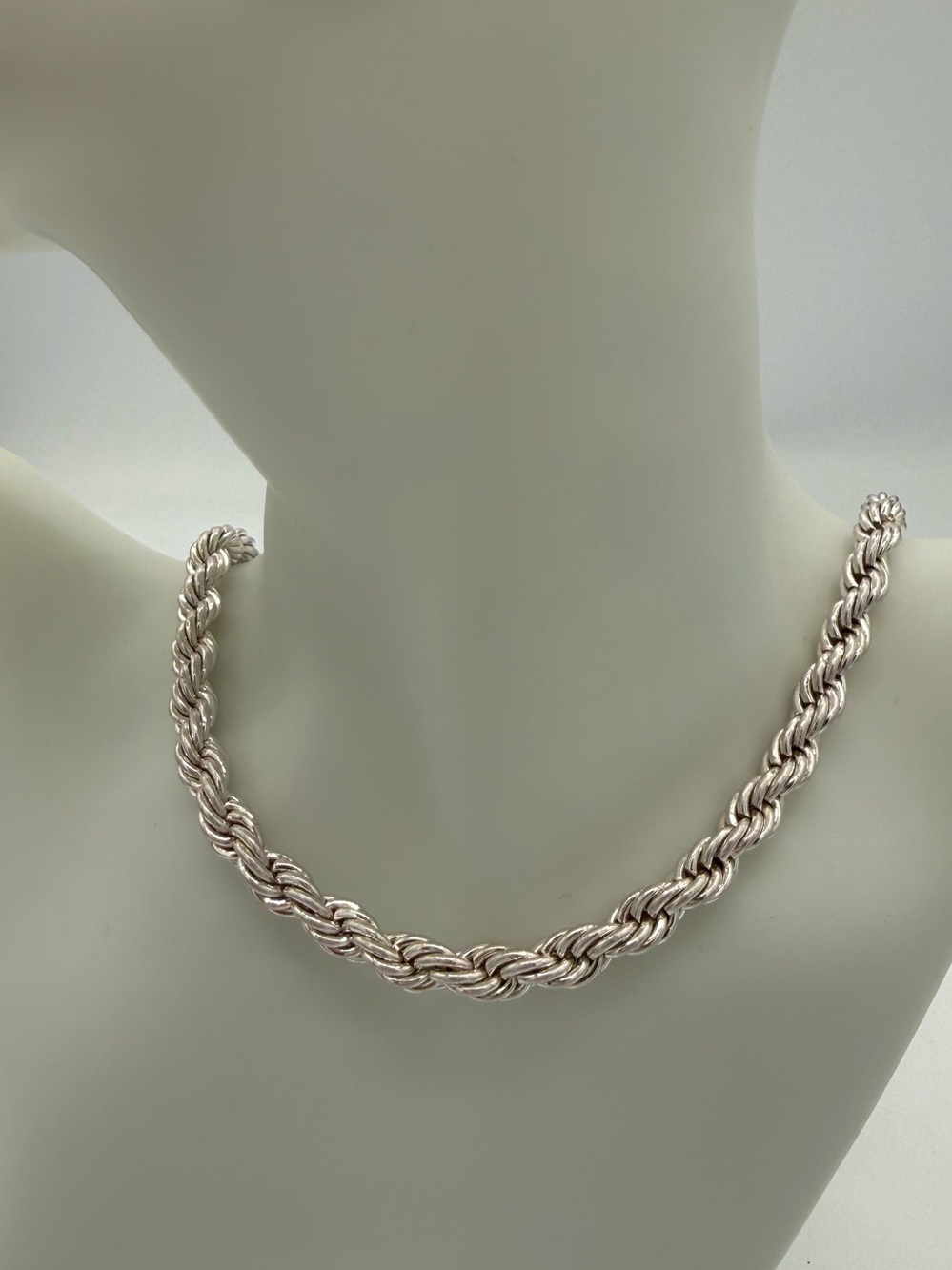 Park Lane Silver-Tone Twisted Rope Necklace NWT